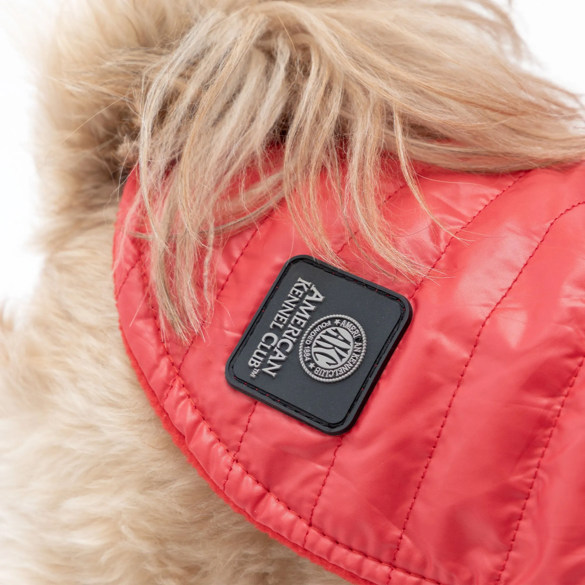 AKC Belly Band Dog Puff Coat