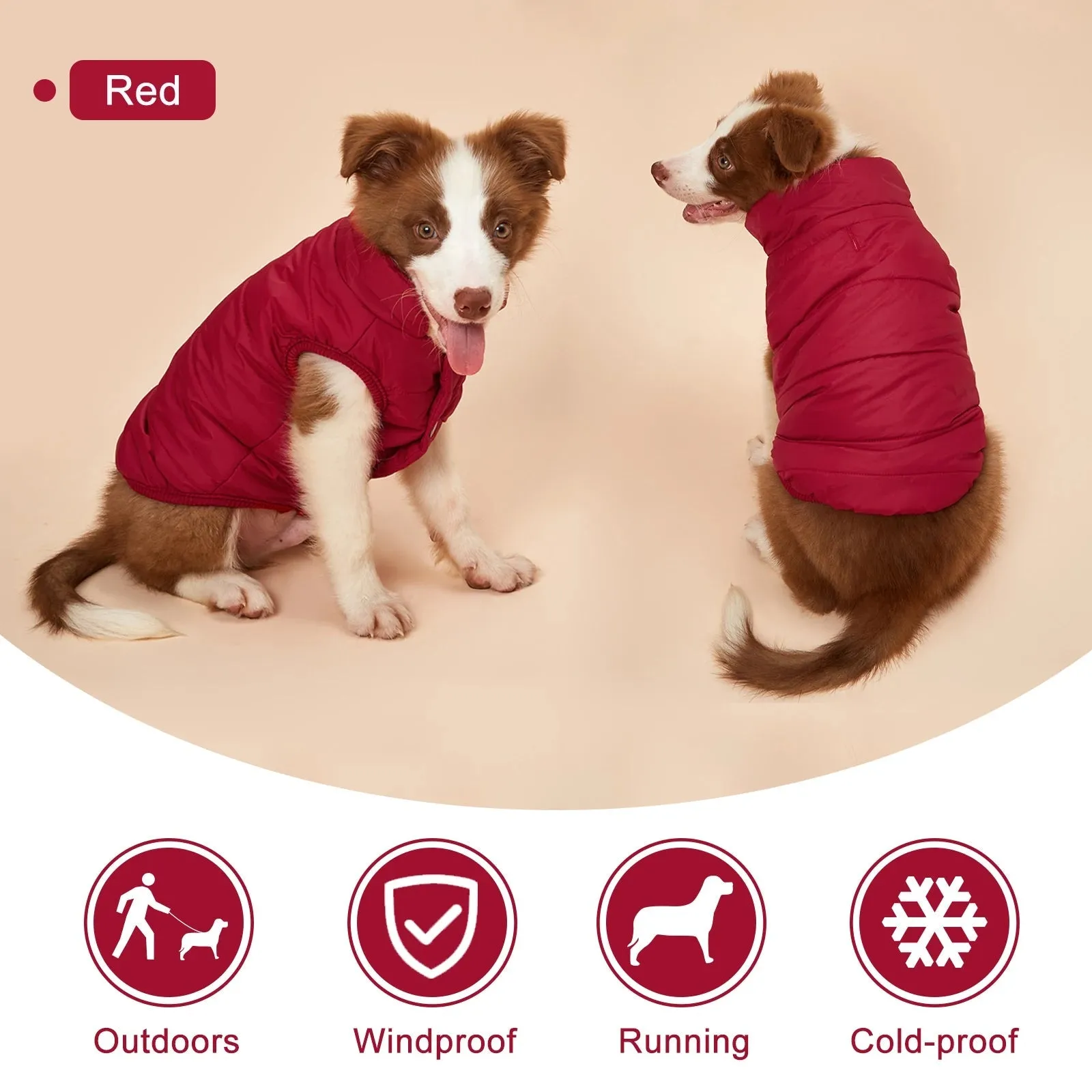 Anniepaw Winter Dog Clothes Outdoor Cold Proof Warm Dog Jacket with Fleece Cotton Lining Chihuahua French Bulldog Puppy Clothing Coat