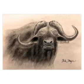 Cape Buffalo III Notecards