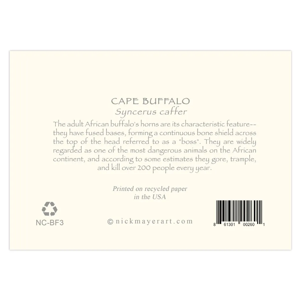 Cape Buffalo III Notecards