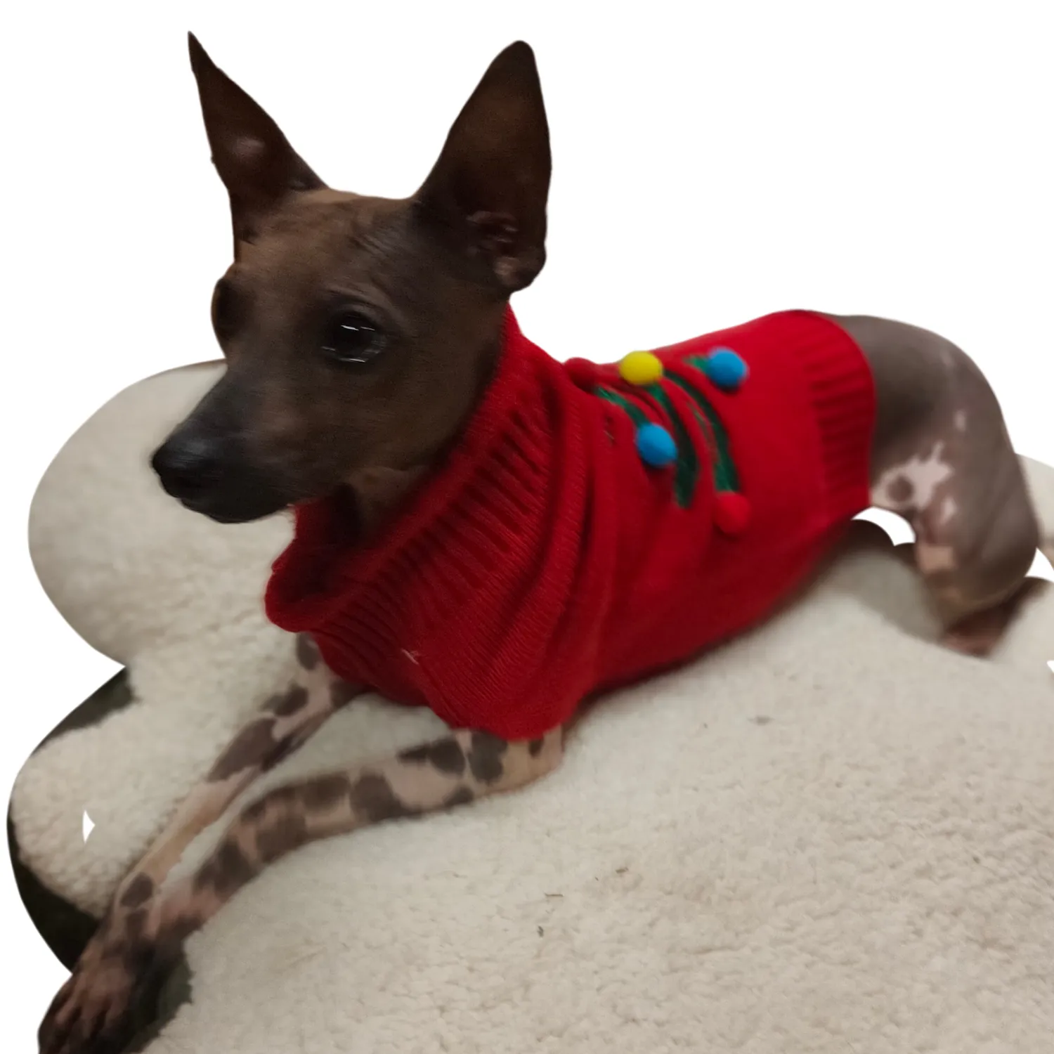 Christmas Tree Sweater | Festive Dog Jumper by Holly & Robin