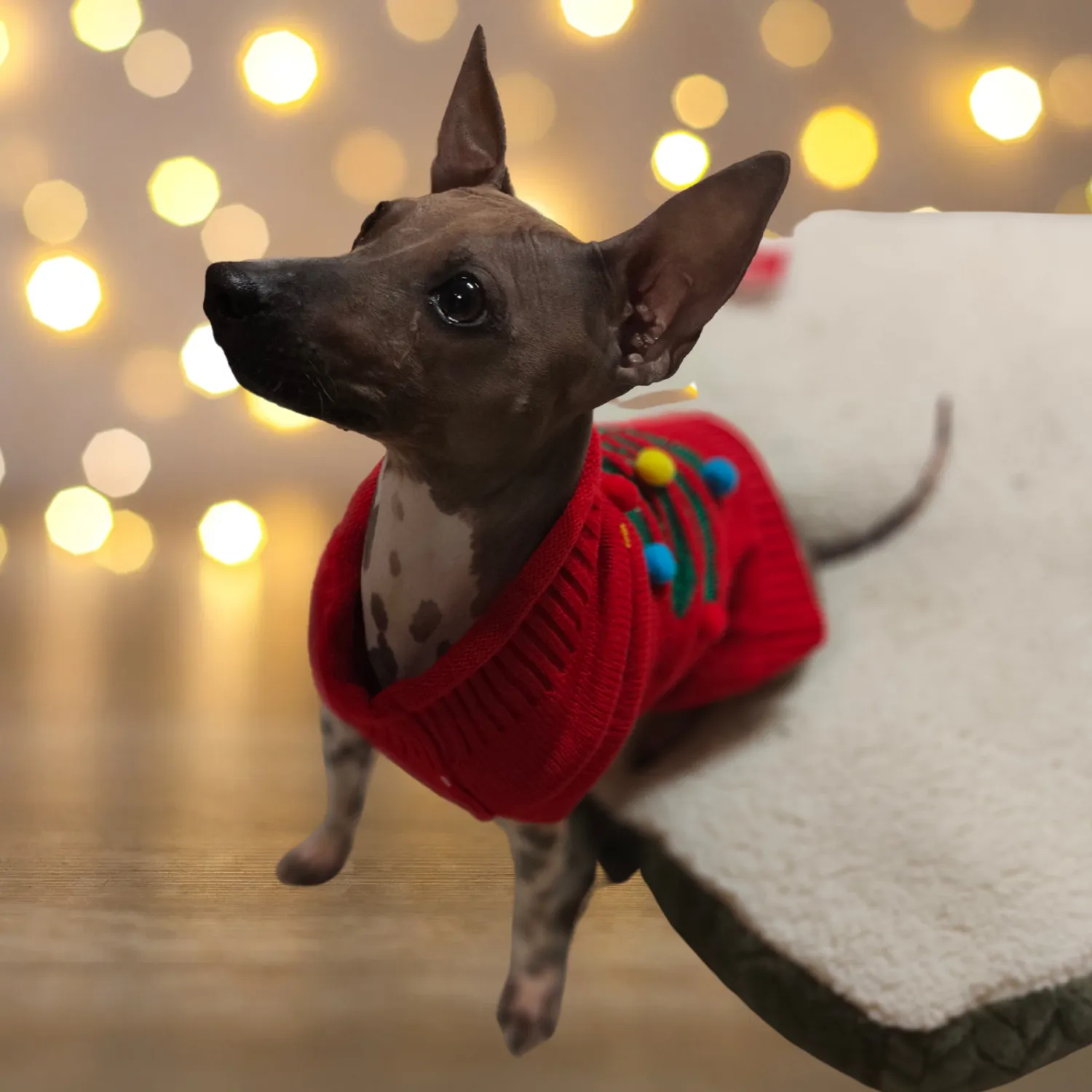 Christmas Tree Sweater | Festive Dog Jumper by Holly & Robin