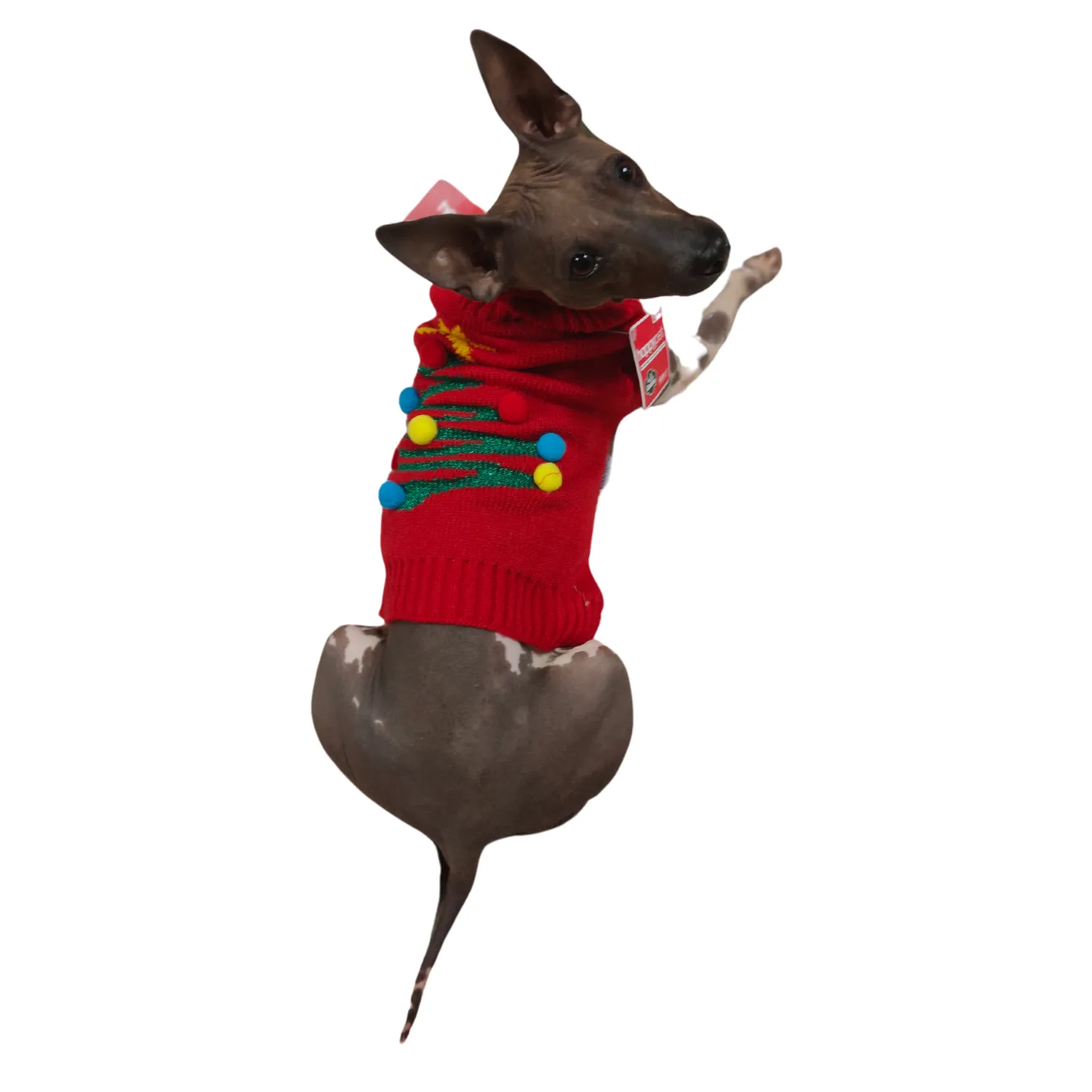 Christmas Tree Sweater | Festive Dog Jumper by Holly & Robin