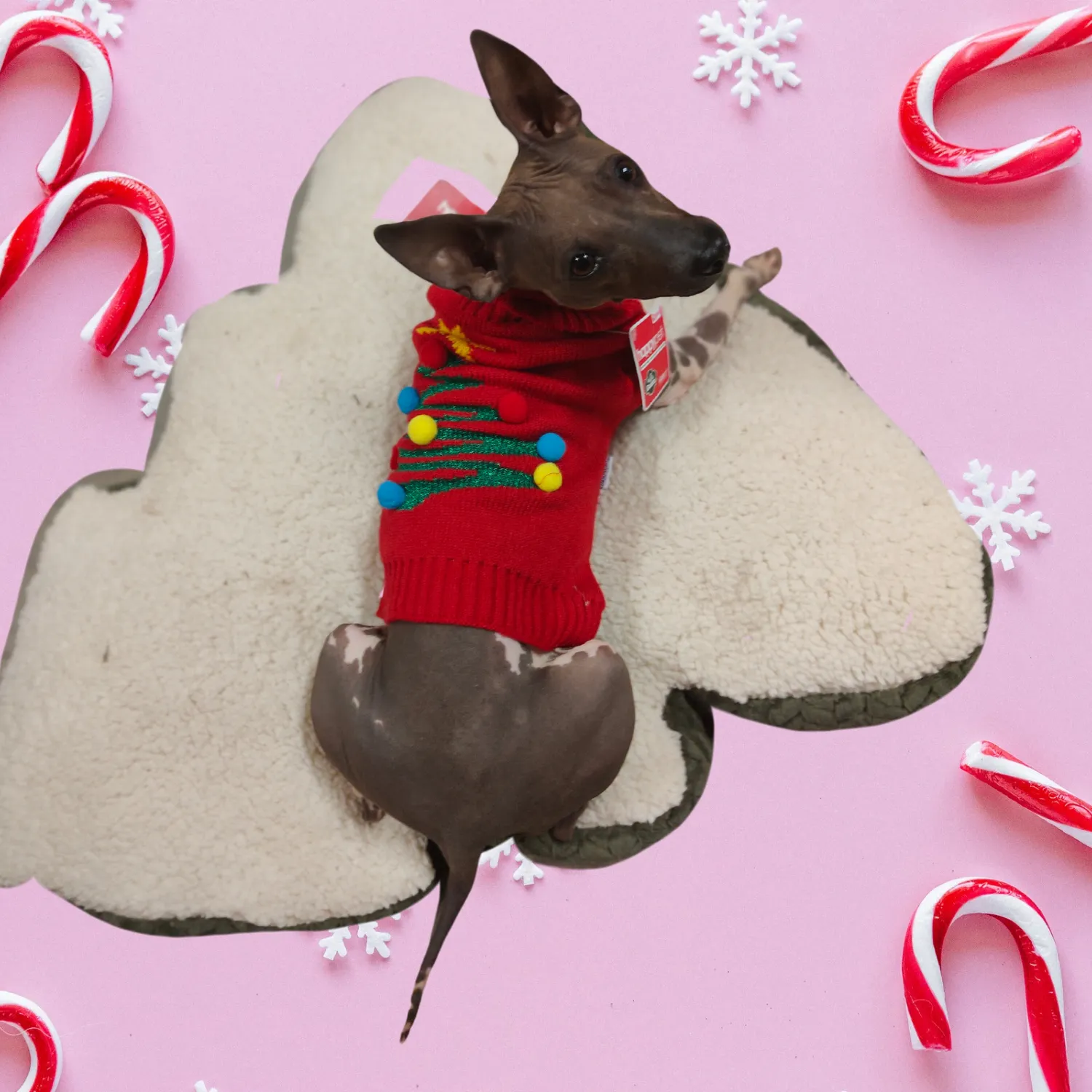 Christmas Tree Sweater | Festive Dog Jumper by Holly & Robin