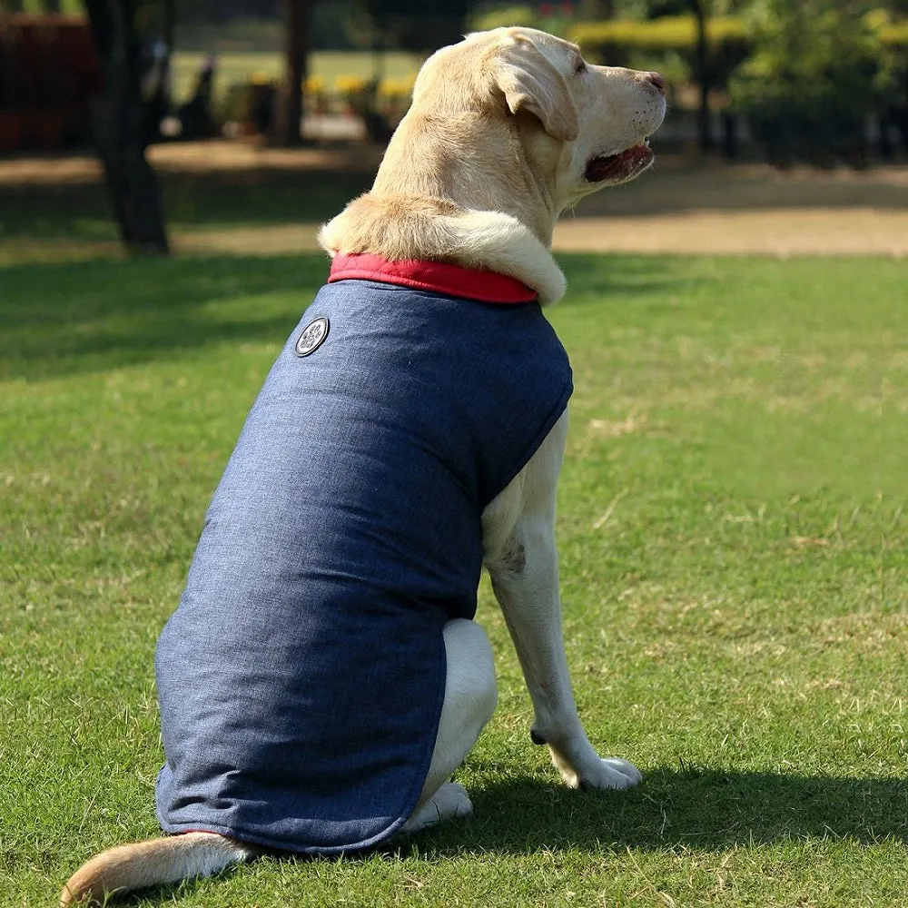 Dear Pet Blue Denim Jacket for Dogs