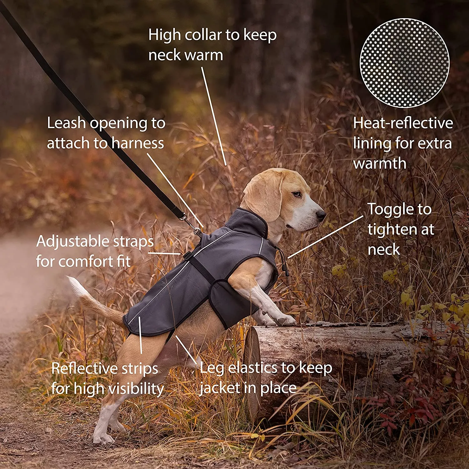 Dog Winter Coat with Smart Heat-Reflective Insulation Large