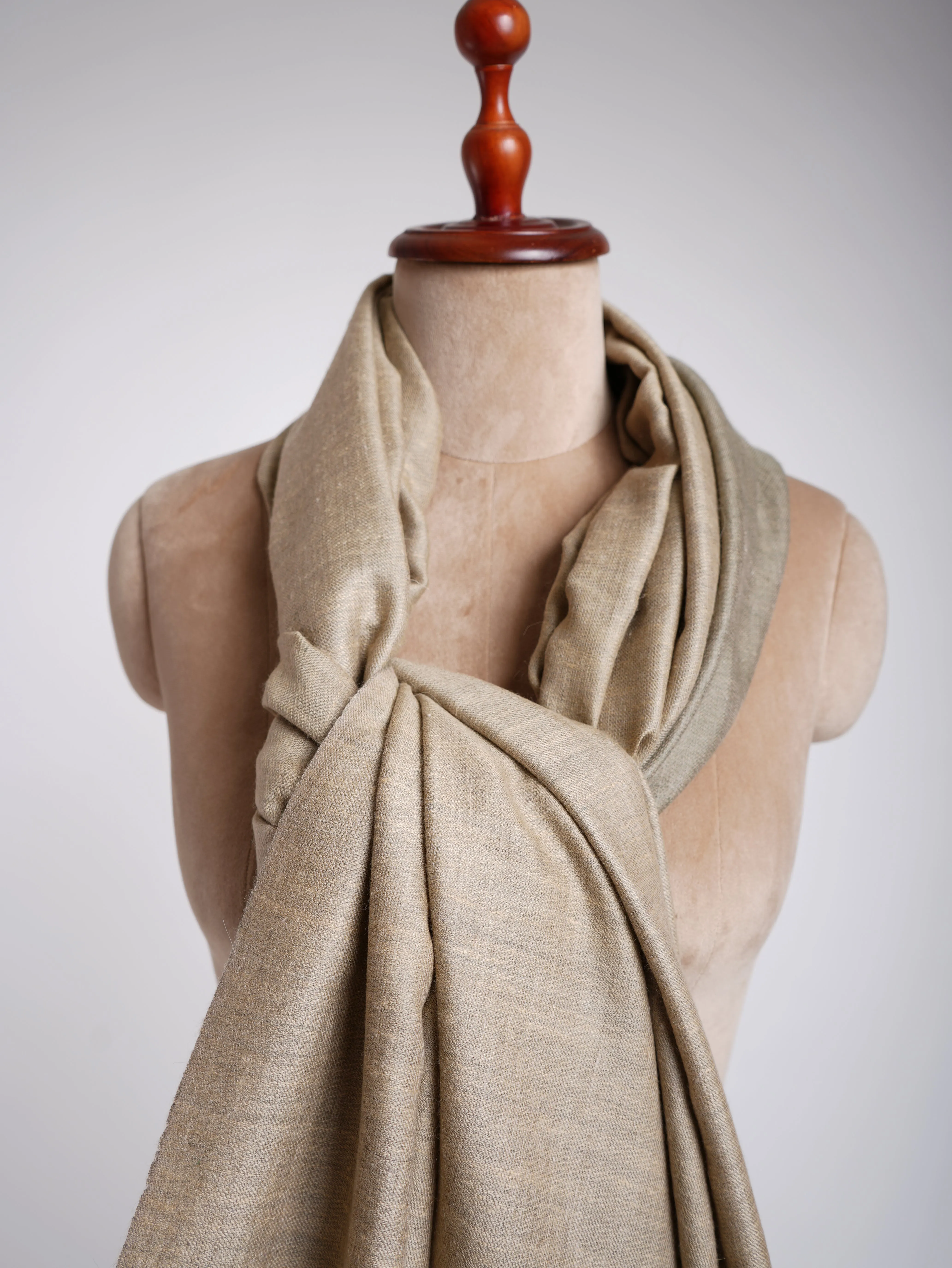 Dual Shade Handwoven Pashmina Shawl Leek Green