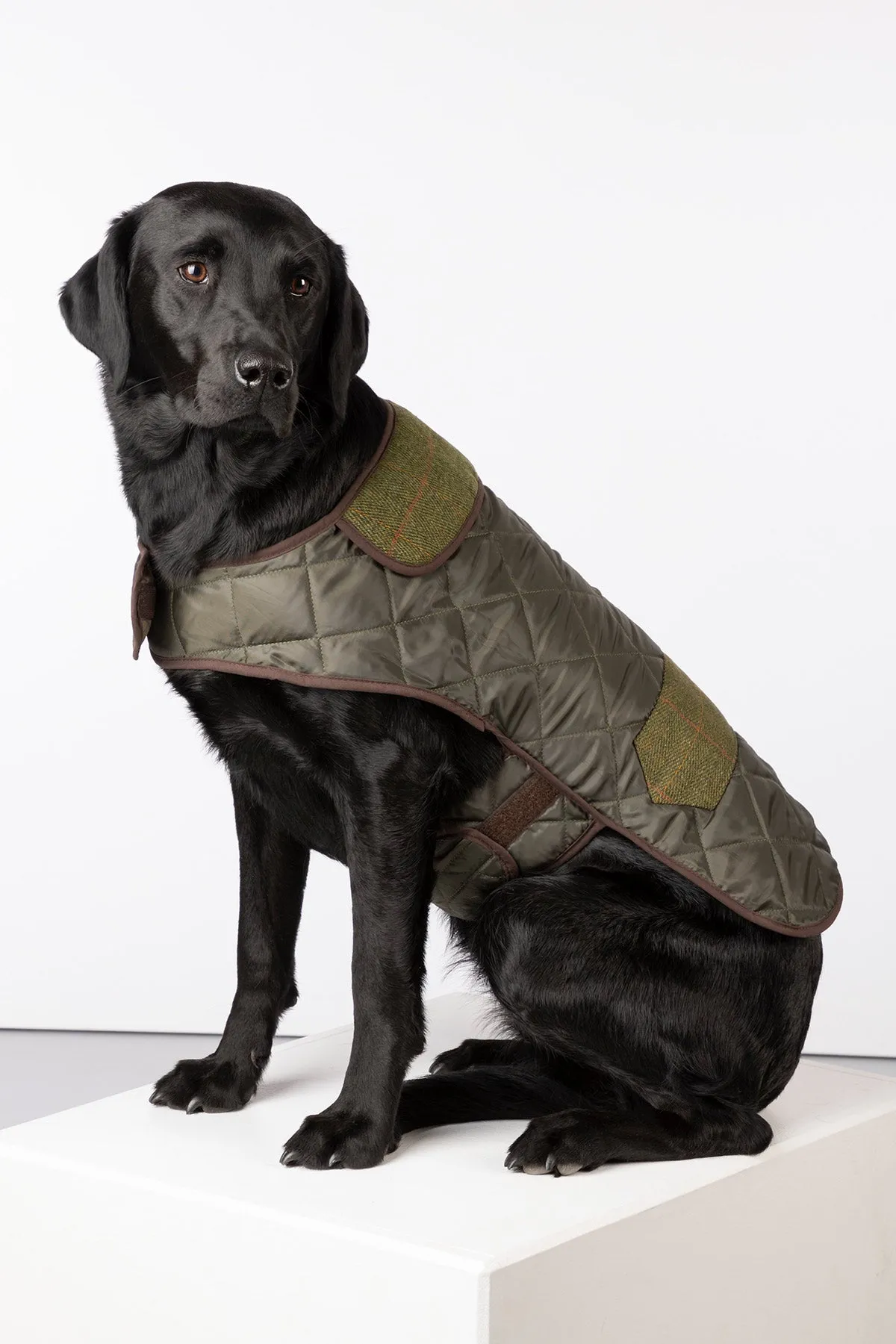 Tweed Quilted Dog Coat