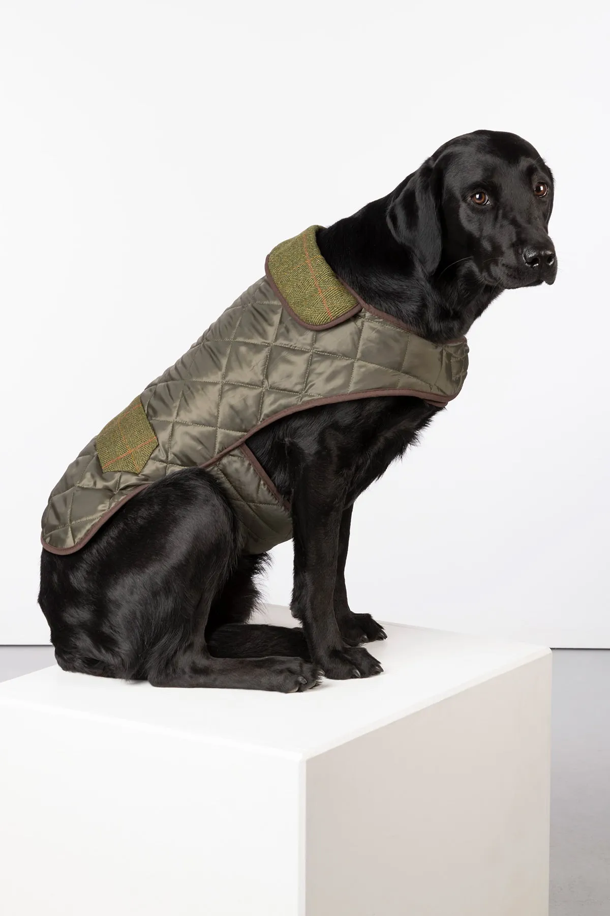 Tweed Quilted Dog Coat